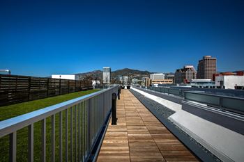 Rooftop dog park